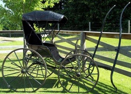 Restored buggy