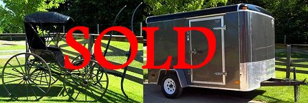 Restored buggy and new trailer