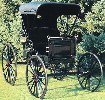 Doctor's Buggy