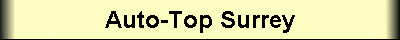 Auto - Top Surrey