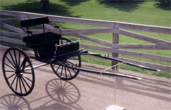 Show Cart (Light horse size shown)