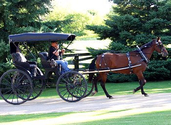John driving the surrey